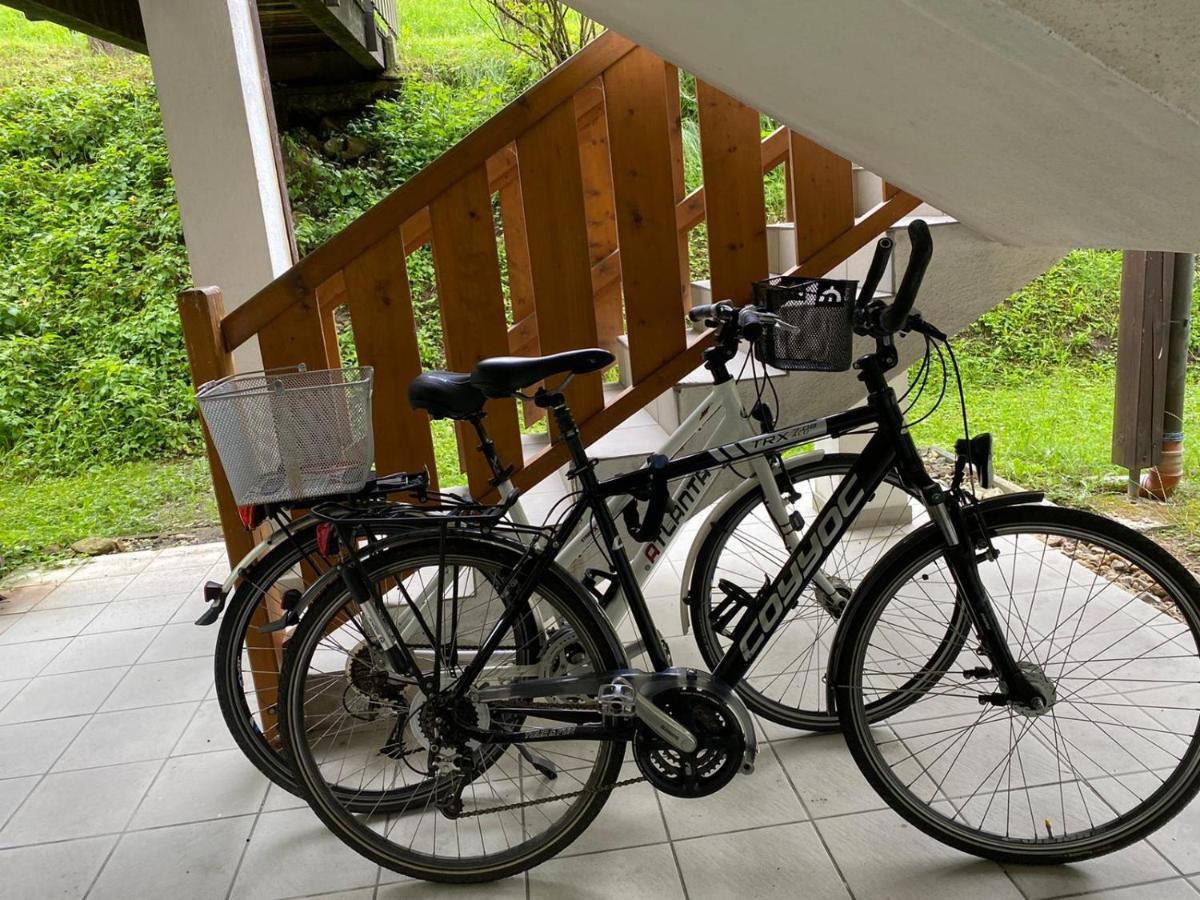 Geschmackvolles Appartement Am Donauradweg Obernzell Exteriér fotografie
